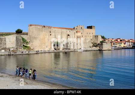 Collioure Burg in der Nähe von Perpignan, Pyrenäen-Oriental, Frankreich Stockfoto