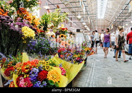 Eastern Market Flower Stall Washington DC // WASHINGTON DC – Ein lebendiger Blumenstand zeigt frische Blüten zum Verkauf auf dem Eastern Market, einem historischen öffentlichen Markt am Capitol Hill in Washington DC. Der Eastern Market wurde 1873 gegründet und ist einer der ältesten kontinuierlich funktionierenden öffentlichen Märkte der Stadt und dient als Gemeindezentrum für lokale Händler, Handwerker und Bauern. Die Blumenhändler des Marktes bieten das ganze Jahr über saisonale Sträuße und Arrangements an, die dem geschäftigen Markt Farbe und Duft verleihen. Der Eastern Market bietet sowohl Innen- als auch Außenbereiche, in denen Händler verkaufen Stockfoto