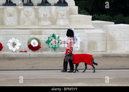 Irish Guards Maskottchen "Conmeal" und seinem Führer, vorbei an Wachen Memorial, Horse Guards Parade, bei "Trooping die Farbe" 2010. Stockfoto