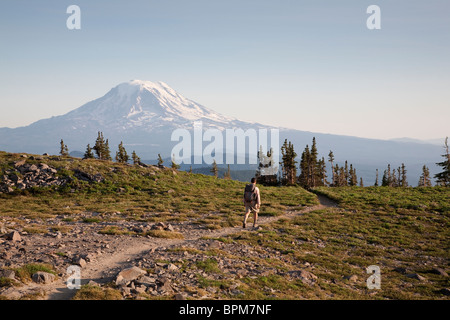 Pacific Crest Trail, Blick nach Süden in Richtung Mount Adams in der Goat Rocks Wilderness, Gifford Pinchot National Forest - Washington Stockfoto