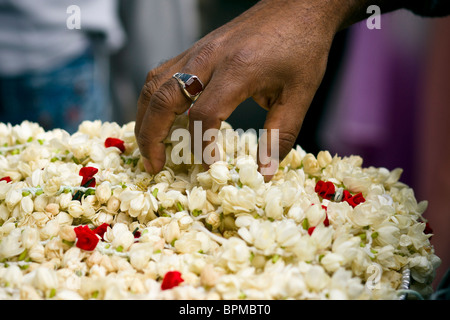 Ganesh Festival Feier Stockfoto