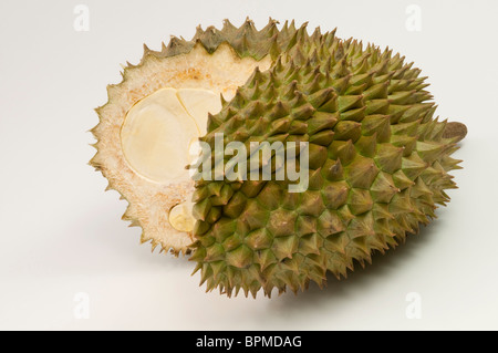 Durian (Durio Zibethinus), eröffnet Frucht, Studio Bild vor einem weißen Hintergrund. Stockfoto