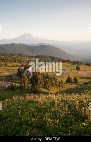 Wildblumenwiese auf dem Pacific Crest Trail in der Goat Rocks Wilderness, Gifford Pinchot National Forest - Washington Stockfoto