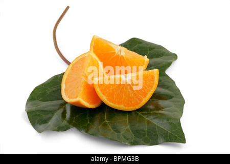 Orangenscheiben und dekorative Blatt auf weiß Stockfoto