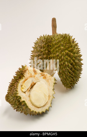 Durian (Durio Zibethinus), eröffnet Frucht, Studio Bild vor einem weißen Hintergrund. Stockfoto