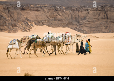 Kamelkarawane in der libyschen Wüste, Dromedare, Camelus Dromedarius, Akakus Gebirge, Libyen, Sahara, Nordafrika Stockfoto