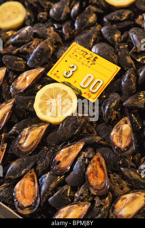 Frische Muscheln angeboten am Fischmarkt, Catania, Sizilien, Italien Stockfoto
