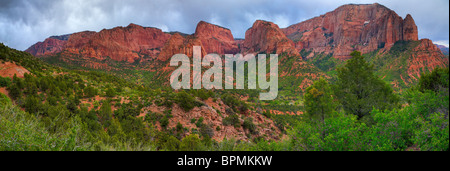 Zion Nationalpark Stockfoto