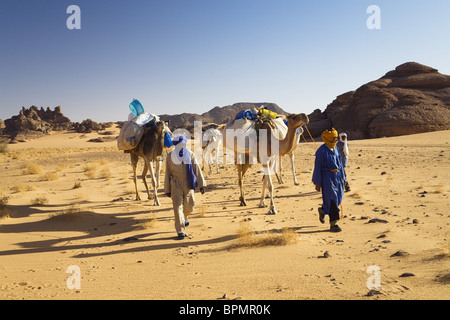 Kamelkarawane in der libyschen Wüste, Dromedare, Camelus Dromedarius, Akakus Gebirge, Libyen, Sahara, Nordafrika Stockfoto