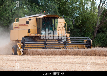 Beim Ernten von Weizen in Essex Mähdrescher Stockfoto
