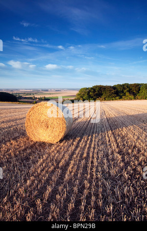 Rundballen Stroh in einem Stoppelfeld mit Blick auf den Fluss Ancholme Tal im ländlichen North Lincolnshire, England, UK Stockfoto