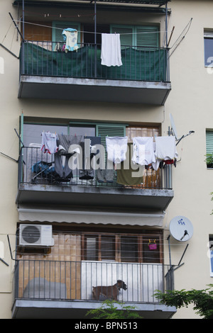 Wäsche trocknet, trocknen und ein Hund auf dem Balkon Balkon der Block von Wohnungen in Olot, Katalonien, Spanien Stockfoto