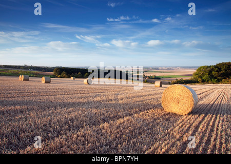 Rundballen Stroh in einem Stoppelfeld mit Blick auf den Fluss Ancholme Tal im ländlichen North Lincolnshire, England, UK Stockfoto