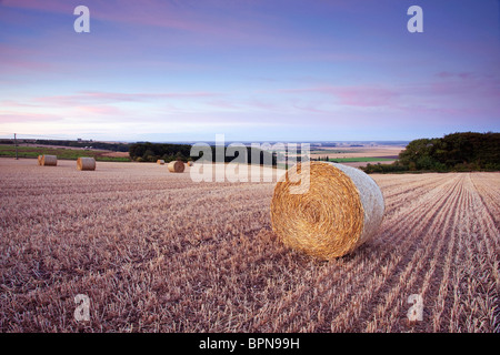 Rundballen Stroh in einem Stoppelfeld mit Blick auf den Fluss Ancholme Tal im ländlichen North Lincolnshire, England, UK Stockfoto