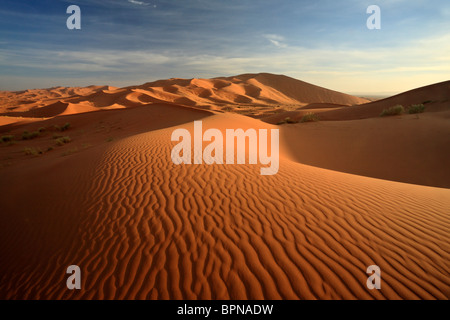 Licht- und Schattenspiel bei Sonnenaufgang über den Dünen von Erg Chebbi in der Nähe von Merzouga in Marokko Stockfoto