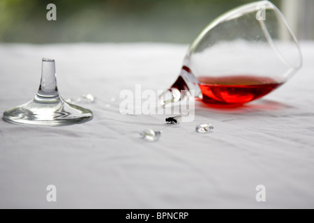 Stillleben mit einem Glas Wein und eine Fliege. Stockfoto