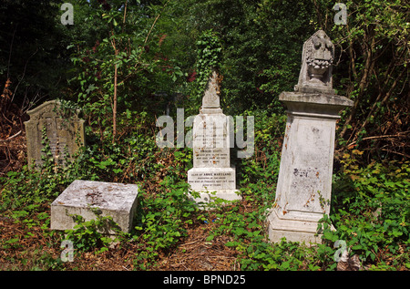 Abney Park Cemetery, Stoke Newington, London Stockfoto