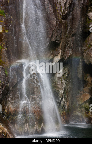 Wasserfälle in Katarakt Cove, Kenai Fjords National Park, in der Nähe von Seward, Alaska. Stockfoto