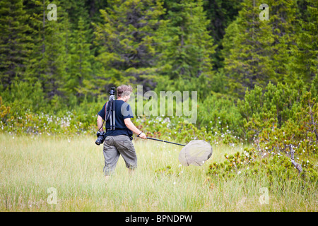 Junge Biologen eine Moor im Cindrel Gebirge Rumänien für Insekten zu erforschen. Stockfoto