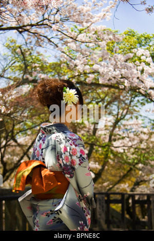 Eine Japanerin in einem traditionellen Kimono während Hanami. Kyoto. Japan. Stockfoto