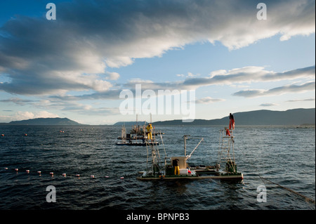 Reefnet Lachsfischen ist eine historische Möglichkeit, wilde pazifische Lachse zu fangen und ist nur noch einmal Lummi Island in Washington. Stockfoto