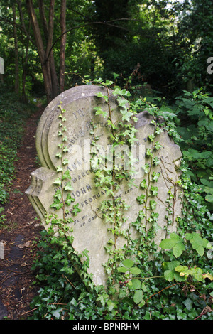 Abney Park Cemetery, Stoke Newington, London Stockfoto