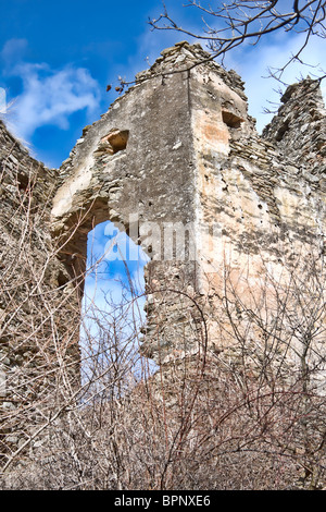 Ruinen der Festung Colt im Winter, Rumänien. Stockfoto