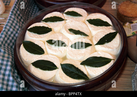 Handgemachte Bio Bauernhof Weichkäse von Maja Binder, Dingle Farmers Market Stockfoto