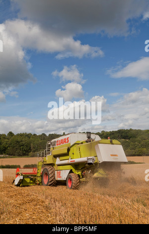 Kombinieren Sie Mähdrescher ernten Hafer Gloucestershire, England UK Stockfoto