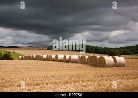 Kautionen von Heu in einem frisch geschnittenen Feld in Dunfermline Stockfoto