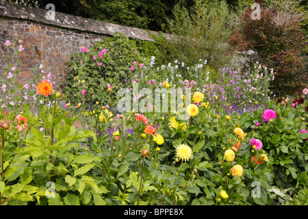 Ummauerten Garten mit Banken und Grenzen von Dahlien, Zuckererbsen und gemischten Blumen. Stockfoto