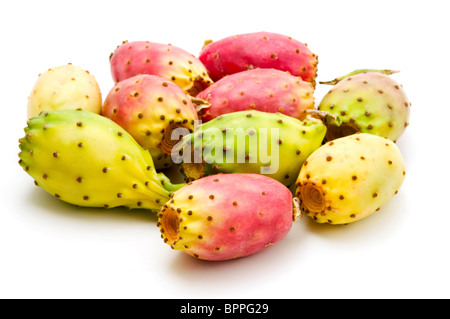 Früchte von Opuntia Ficus-Indica auf weißem Hintergrund Stockfoto