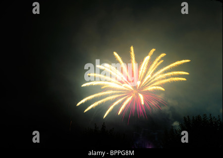 Feuerwerk explodiert in den Nachthimmel über Bäume (nur sichtbar). Platz für Text in der Dunkelheit des Nachthimmels. Stockfoto