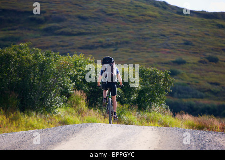 Biken im Denali-Nationalpark, Alaska. Stockfoto