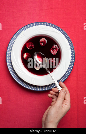 Eine Schüssel mit Borschtsch, hergestellt mit rote Beete und Uszka servierfertig. Foto: Jeff Gilbert Stockfoto