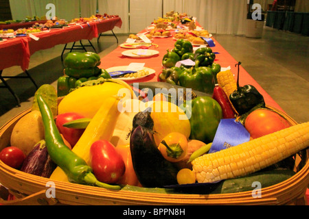 Gemüse-Wettbewerb, Augusta County Fair, Fishersville, Shenandoah Valley, Virginia, USA Stockfoto