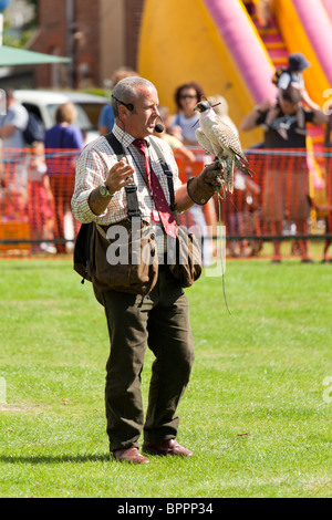 Demonstration der Falknerei im Dorf zeigen Stockfoto