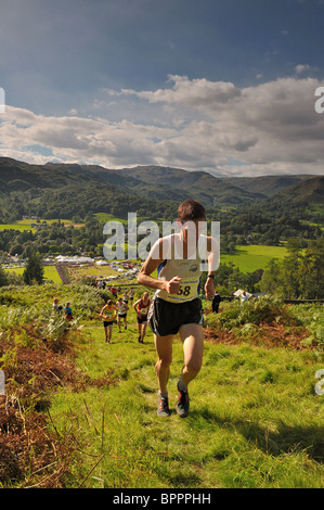Rob Jebb führt das Pack in Butter Crag beim erfahrenen Guides 2010 Rennen in Grasmere Sport Stockfoto