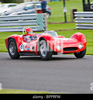 Maserati T61 Birdcage Rennsport Auto Trophy Rennen in Oulton Park Autorennen Schaltung Cheshire England Vereinigtes Königreich UK Stockfoto