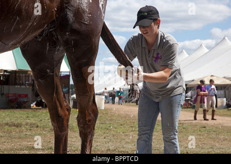 Richland Park Horse Trials Stockfoto