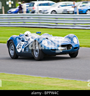 Lister Jaguar Rennsport Auto Trophy Rennen in Oulton Park Motor Race Circuit Cheshire England Vereinigtes Königreich UK Stockfoto