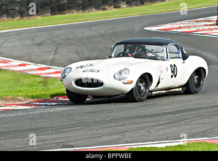 E-Type-Jaguar-Rennwagen verhandelt Brittens am Oulton Park Motor Racing Circuit Cheshire England Vereinigtes Königreich UK Stockfoto