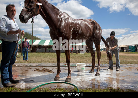 Richland Park Horse Trials Stockfoto