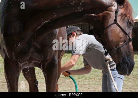 Richland Park Horse Trials Stockfoto