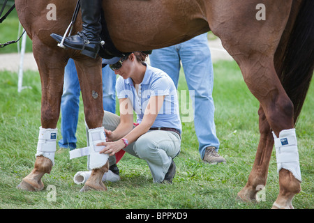 Richland Park Horse Trials Stockfoto