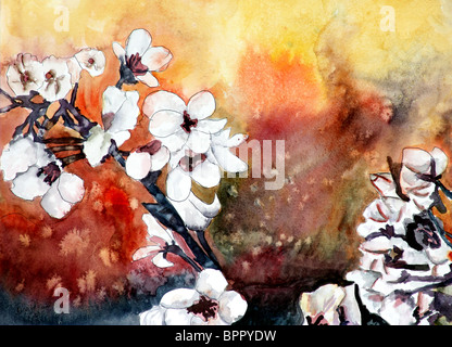 Japanische Kirsche Blossum Aquarell botanische Kunst Malerei Illustration orange braun und gelb Kunstwerk Stockfoto