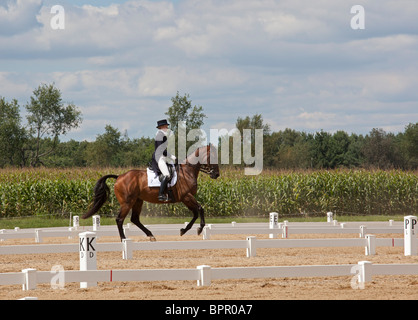 Richland Park Horse Trials Stockfoto