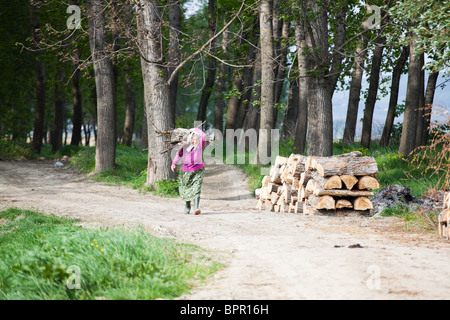 Alte Frau mit kleine Zweigen auf ihr zurück in die Landschaft Rumäniens. Stockfoto