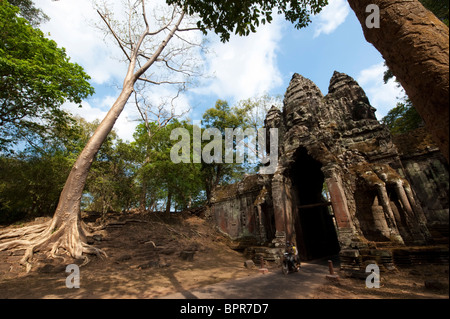Angkor Thom Nordtor, Siem Reap, Kambodscha Stockfoto