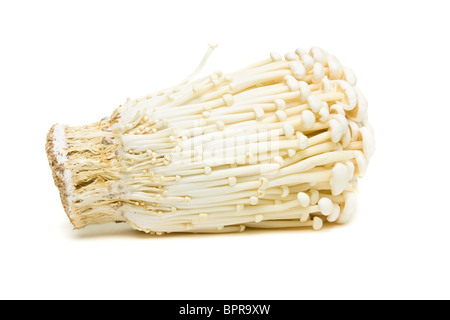 Abstrakte Enoki-Pilze aus niedrigen Perspektive isoliert auf weiss. Stockfoto